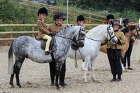 Class 13 - Best Open Lead Rein