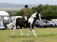 38 Ridden Cob