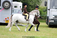 24. Lead Rein Show Pony  Show hunter pony