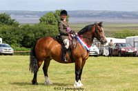 Novice Mountain and Moorland Championship