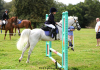 3. Mini Showjumping