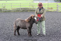 Shetland Championship