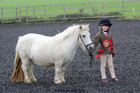 Young Handler Champion