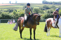 24 Mixed Height Open Show Hunter  Show Pony