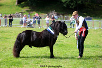 Bridgend Country Show 2024 14/07/24