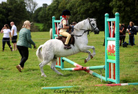 2. Tiny Tots Showjumping