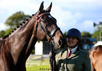 Bridgend Country Show 2024 13/07/24