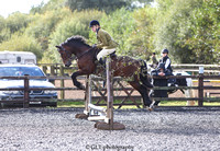 PHPC Working Hunter & Inhand Show 29/09/2024